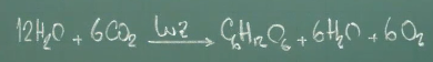 equação da fotossíntese
