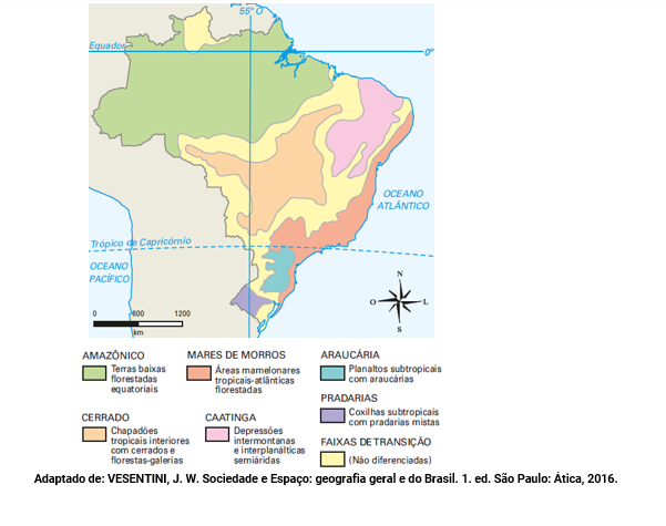 Todos os domínios morfoclimáticos do Brasil explicados - Toda Matéria