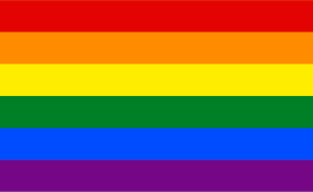 A bandeira LGBTQI+ é um arco-íris.  Disponível em:  https://www.groningenlife.nl/en/associations/lgbtq-associations