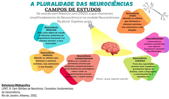 A neurociência e suas contribuições para o desenvolvimento