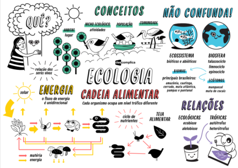 Exercícios sobre Ecologia- Descomplica, Exercícios Biologia