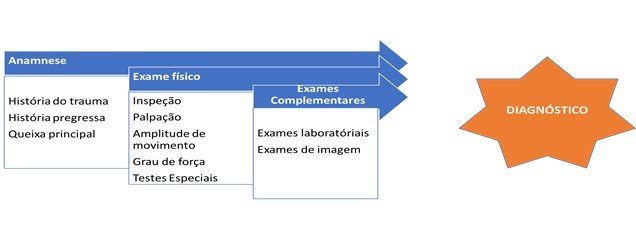 Anamnese Completa - Fisioterapia, Esquemas Ortopedia