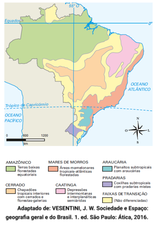 Domínios morfoclimáticos brasileiro worksheet