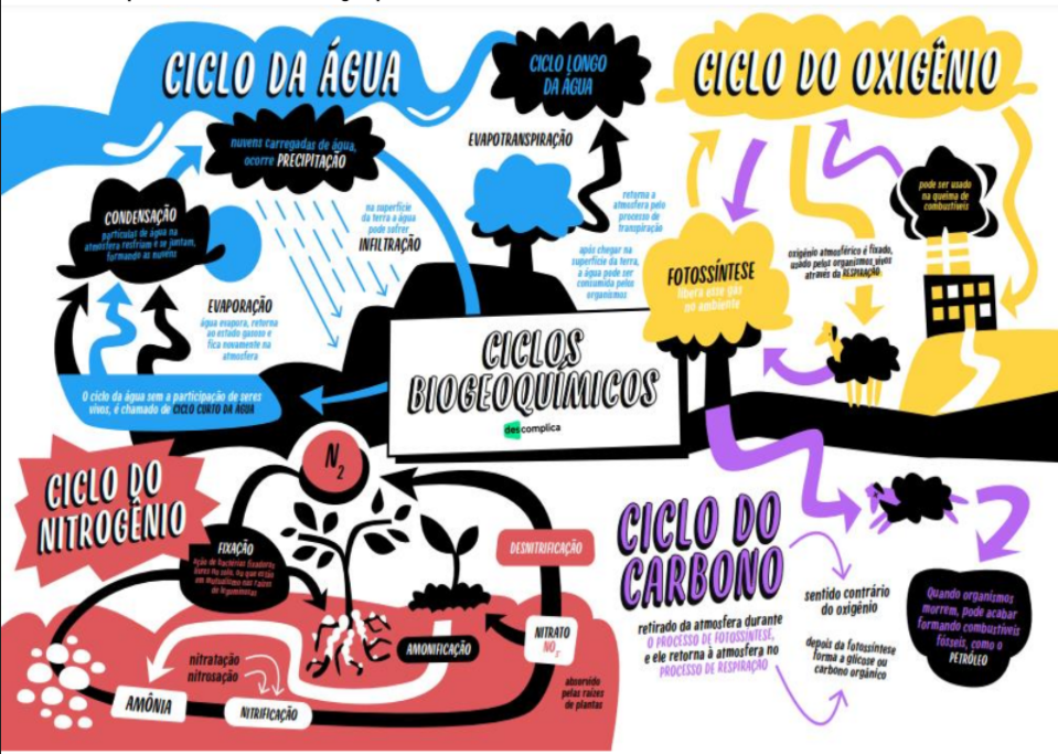 Top 70 Imagen Mapa Mental De Los Ciclos Biogeoquimicos Viaterramx 4037