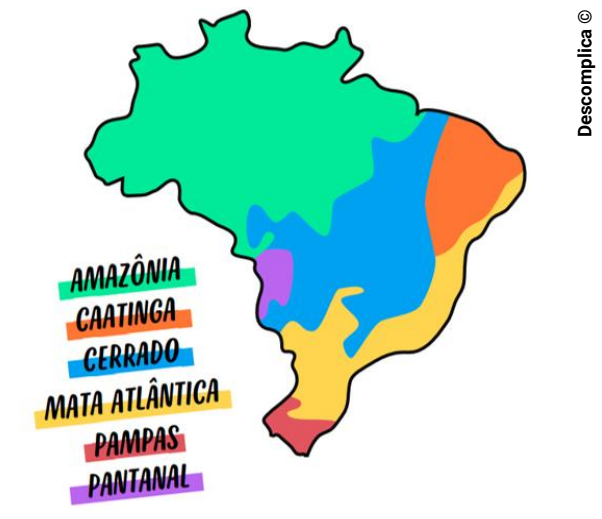 BIOMAS BRASILEIROS - Parte 1, GEOGRAFIA, Mapa Mental